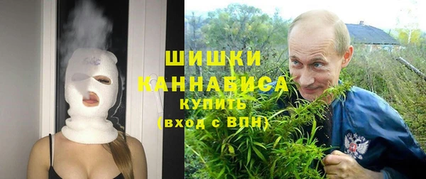 крисы Армянск