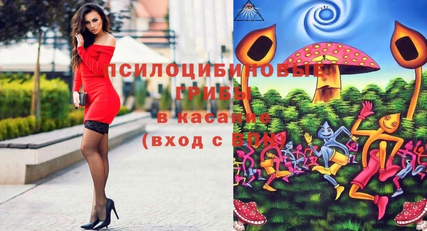 герыч Арсеньев